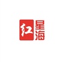 大连红梅乒乓球俱乐部ico