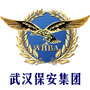 武汉保安集团ico