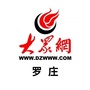 大众网罗庄ico