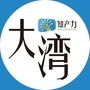 知产力大湾ico