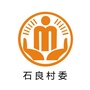 太平石良阳光村务ico