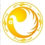 天府金融论坛官方发布公众号ico