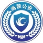 平安海陵ico