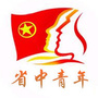 江苏省中医院杏林青年ico
