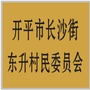 开平长沙东升ico