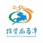 投资龙马潭公众号ico