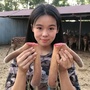 娄乐家鹿场ico