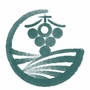杏叶梨树之声ico