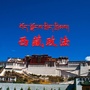 西藏政法公众号ico