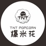 TNT爆米花公众号ico
