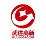 武进高新担保ico