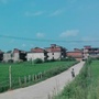 田园礼珠ico