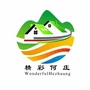 精彩何庄ico