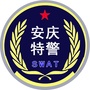 安庆特警ico