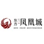 邵阳东方凤凰城ico