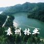 袁州林业ico
