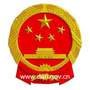 达日政务ico