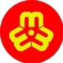 大沥妇联公众号ico