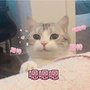 小梁带你玩ico