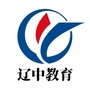 沈阳市辽中区教育局ico