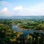美丽白家ico