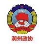 镇江润州政协ico