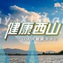 健康西山ico