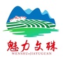 魅力文殊ico