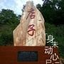 醉美店子ico