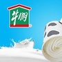 牛棚凌兆店ico