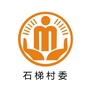 砚台石梯阳光村务ico