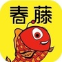 琴岛英雄创业联盟促动会ico