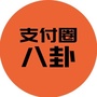 支付圈八卦ico