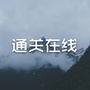 通关在线ico