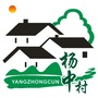 魅力杨中村ico