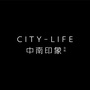 海门中南印象ico
