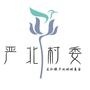 东社镇严北村村委会公众号ico