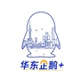 华东企鹅家ico
