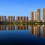 相约北湖ico