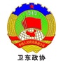 卫东政协ico