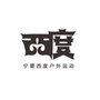 宁夏西度ico