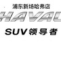 上海乐驰哈弗新场专营店ico