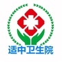 健康适中ico