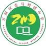 万州区走马初级中学ico