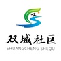 盘城街道双城社区ico
