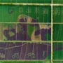 印象黄湾ico