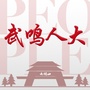 武鸣人大ico
