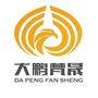 大鹏梵晟ico