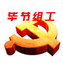 毕节组工ico