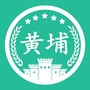 91黄埔军事夏令营ico
